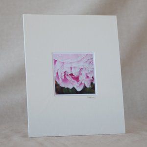 "Peony After the Rain" Mini Photography Art Print